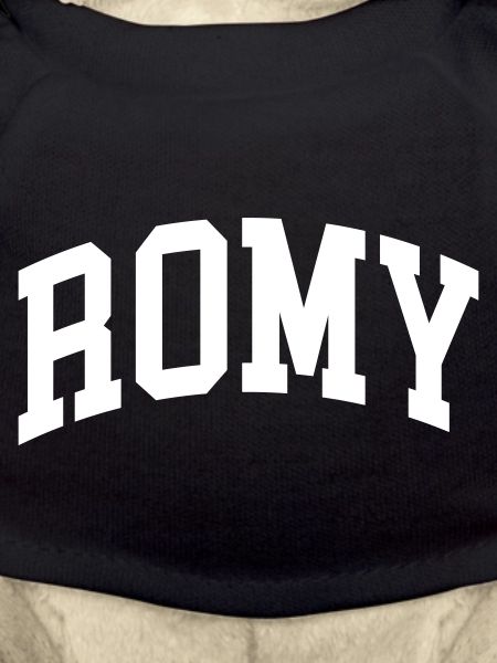Romy