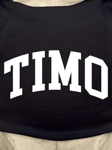 Timo