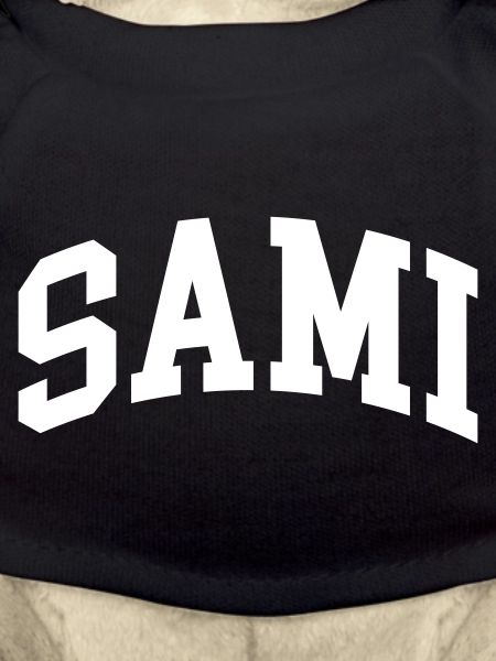 Sami
