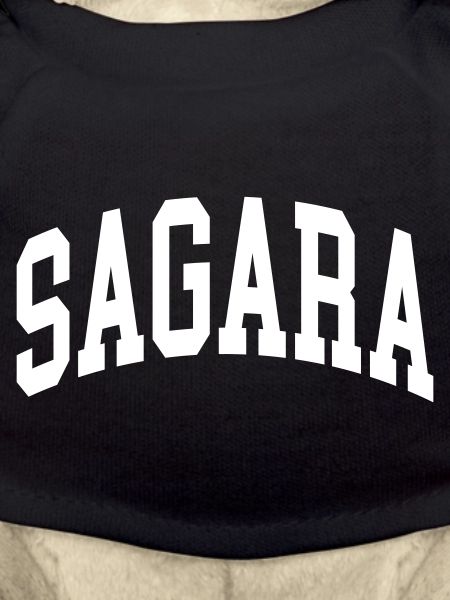 Sagara