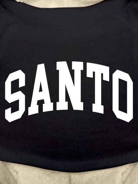 Santo