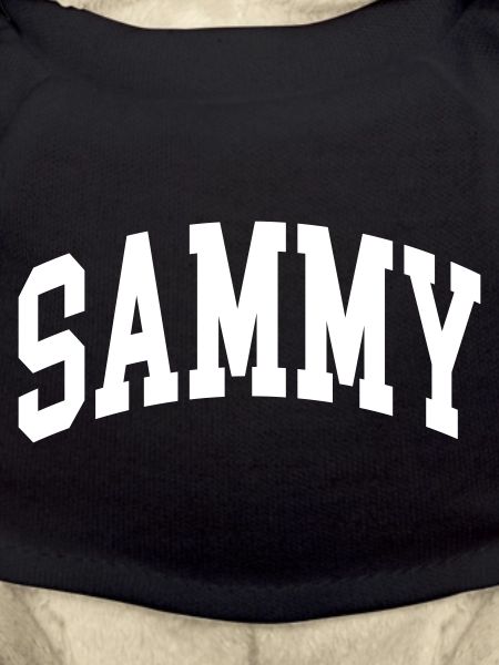 Sammy