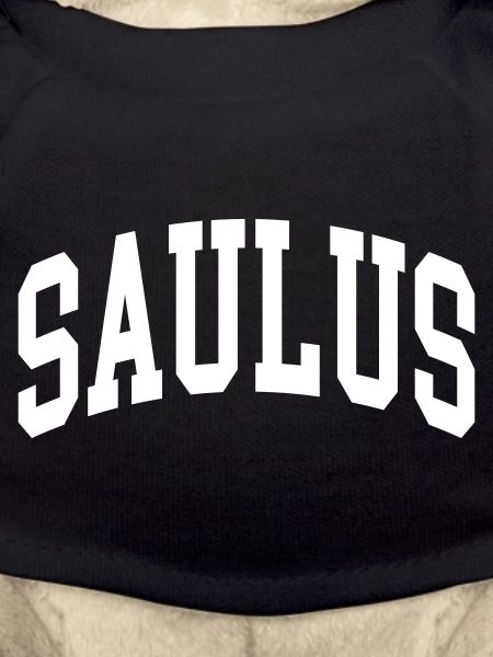 Saül