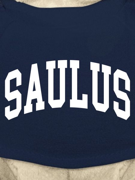 Saül