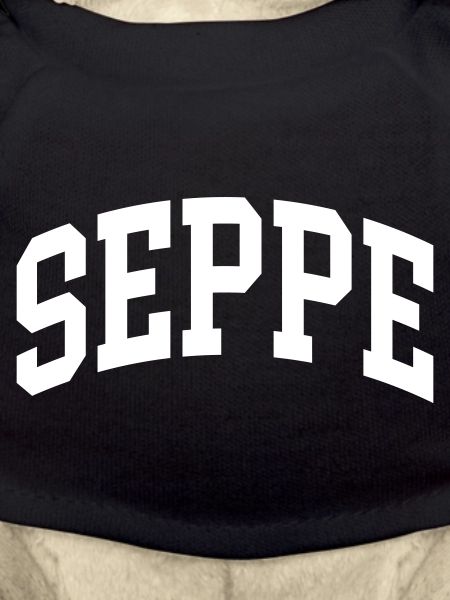 Seppe