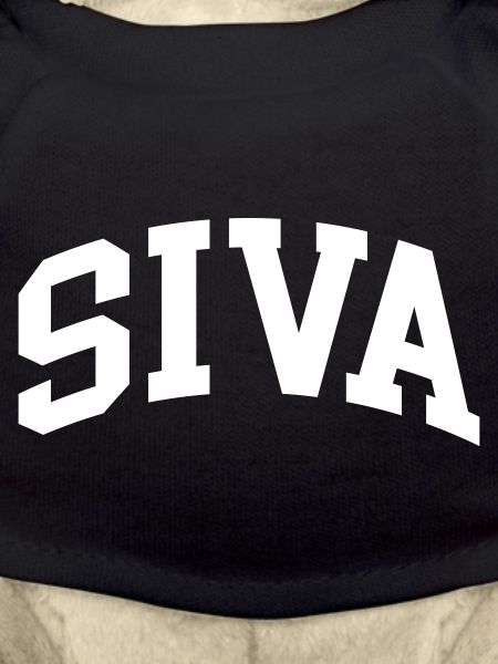 Siva