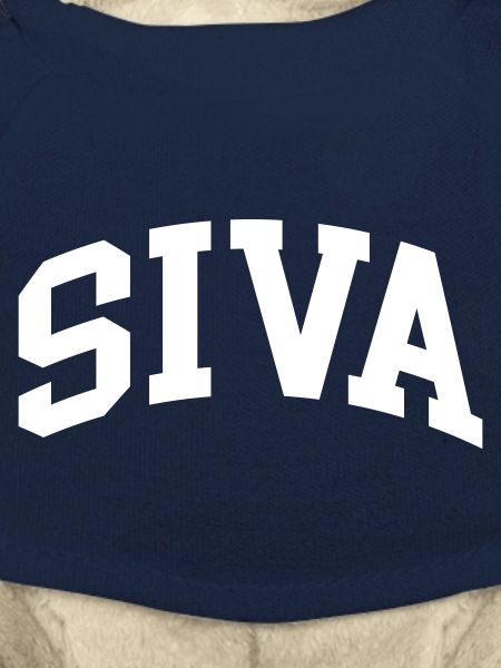 Siva