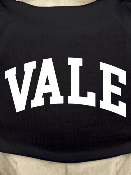 Vale