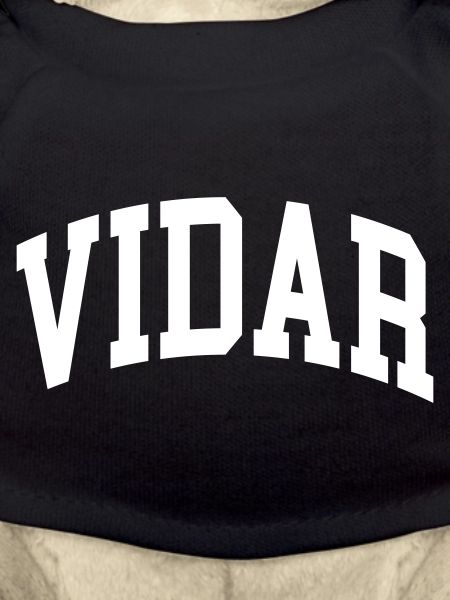 Vidar
