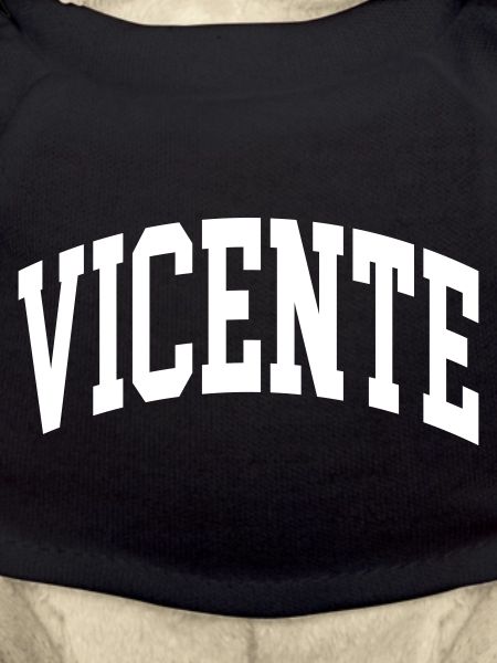Vicente