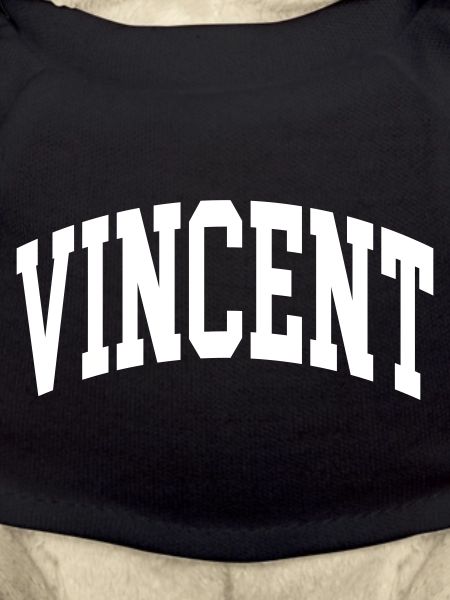 Vincent