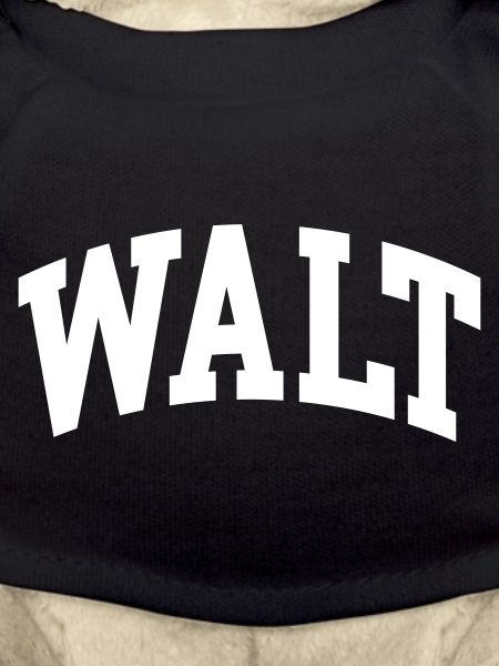 Walt