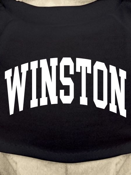 Winston