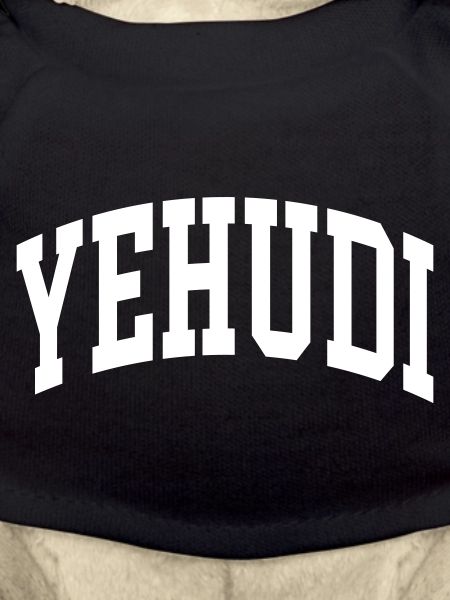 Yehudi