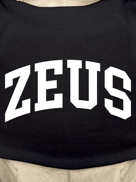Zeus