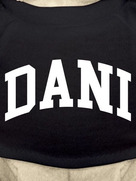 Dani