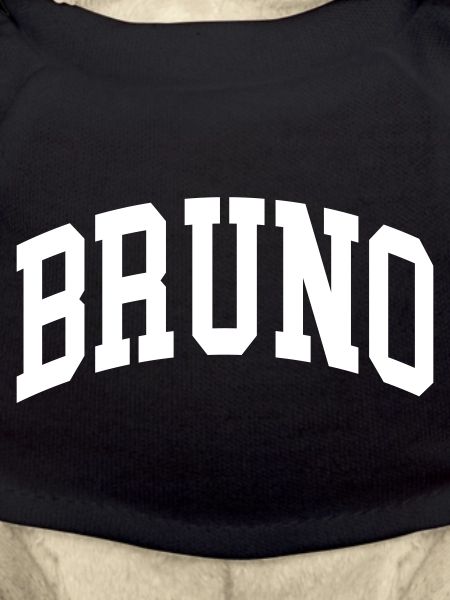 Bruno