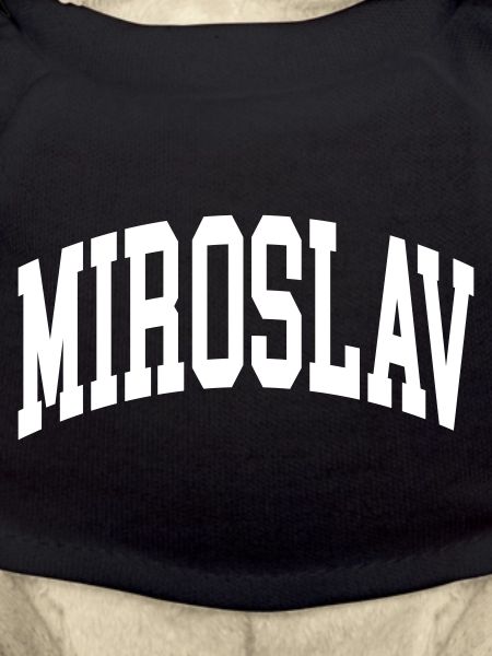 Miroslav