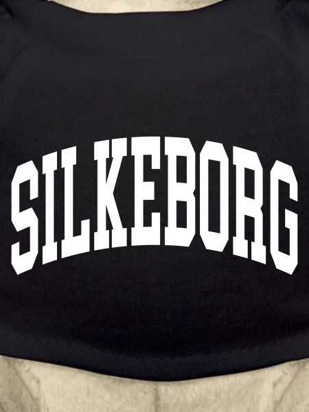 Silkeborg