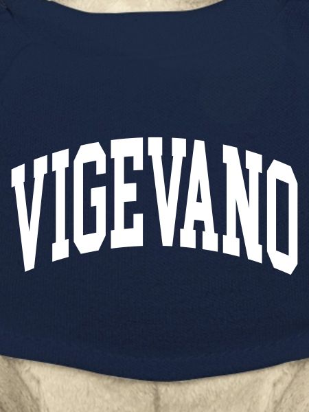 Vigevano