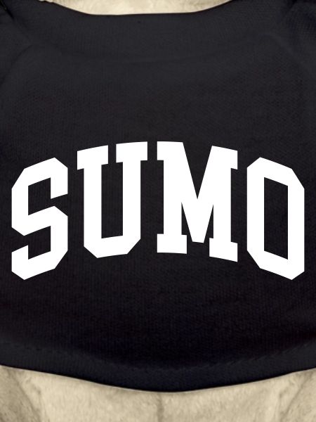 Sumo