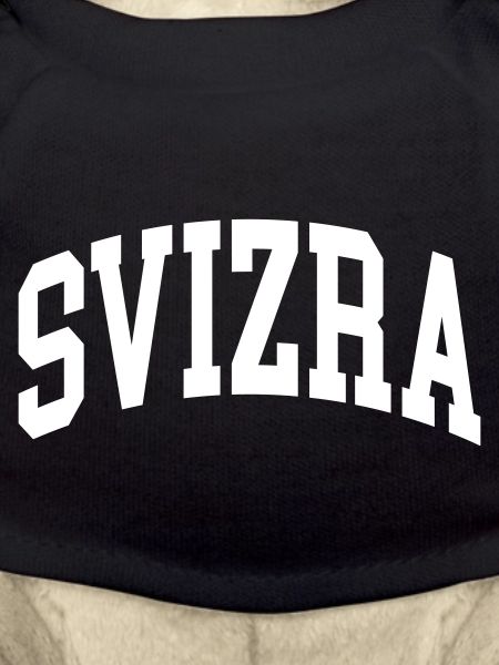 Svizra