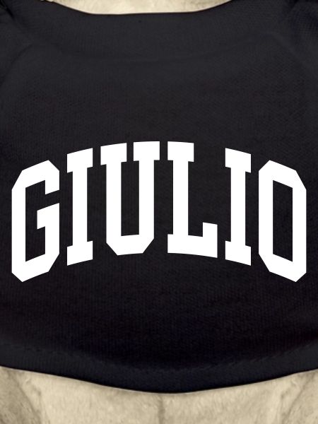 Giulio