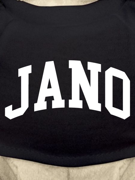 Jano