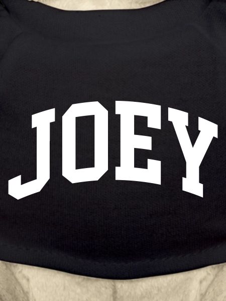 Joey