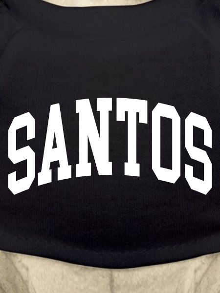Santos