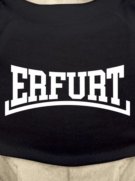 Erfurt