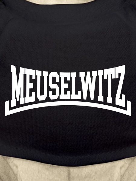 Meuselwitz
