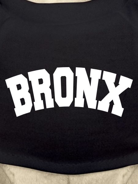 BRONX, NYC