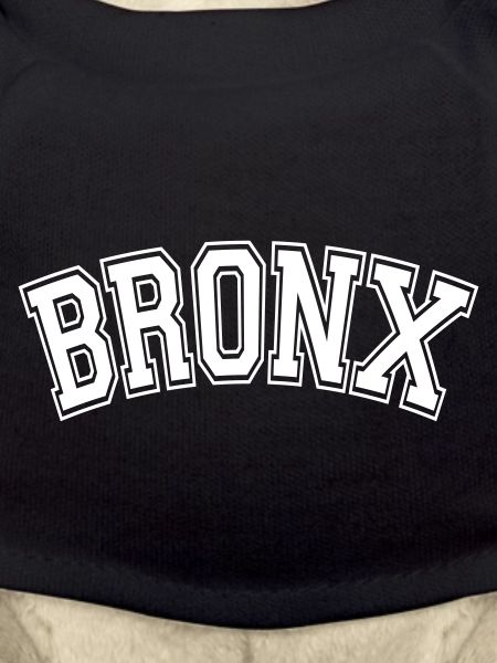 BRONX, NYC