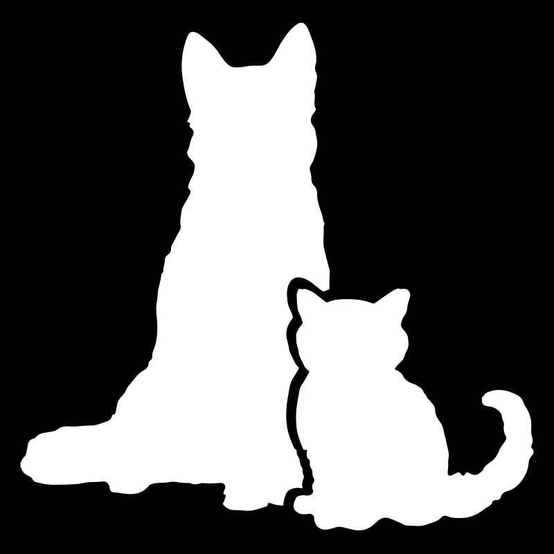 Hund Katze Cat Dog