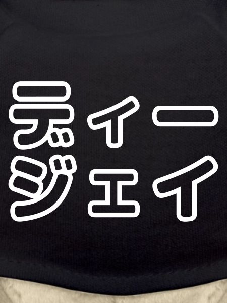 Japanese DJ 日本のヒップホップディージェイ