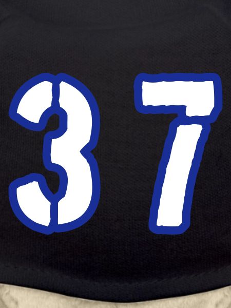 37 Symbole numérique