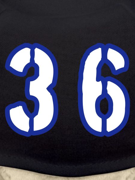 36 Number Symbol