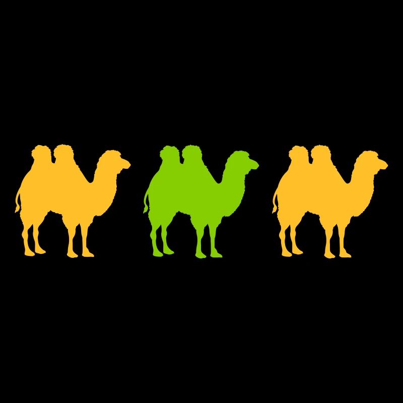 désert de troupeau camel benne