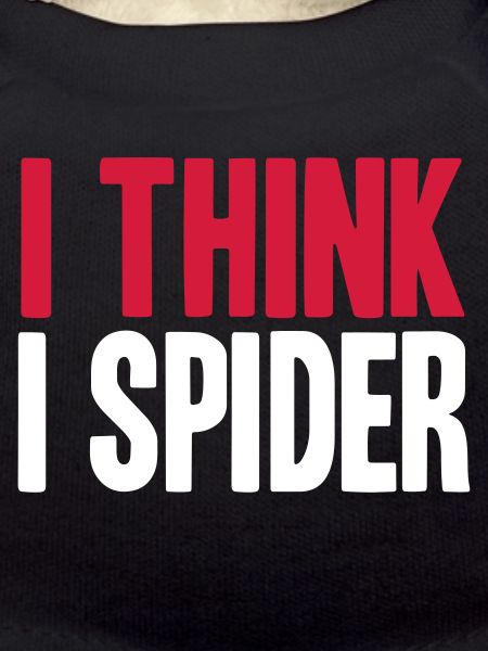 I THINK I SPIDER (DENGLISCH)