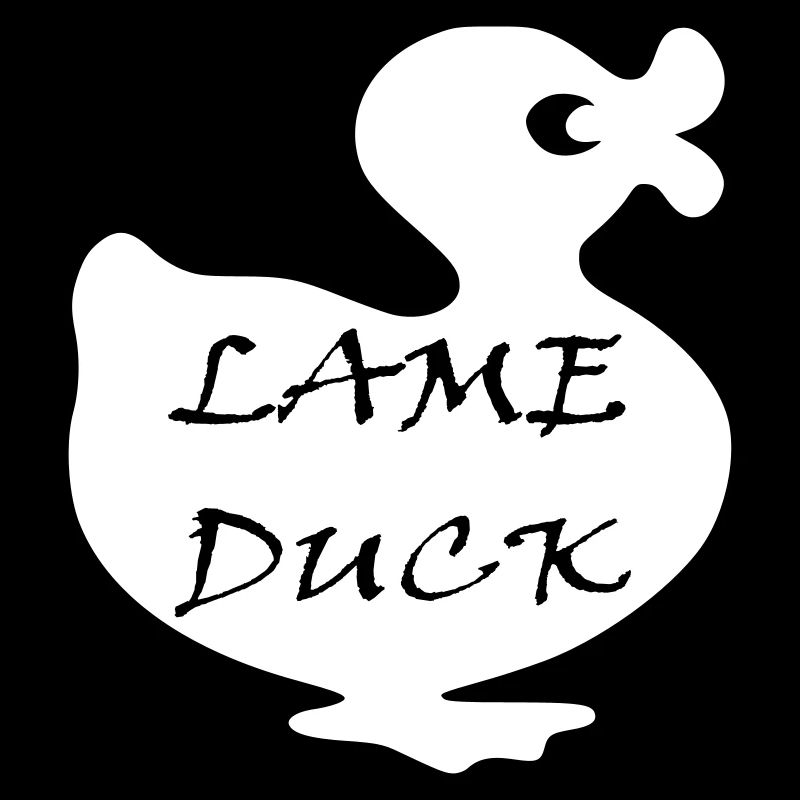 canard boiteux