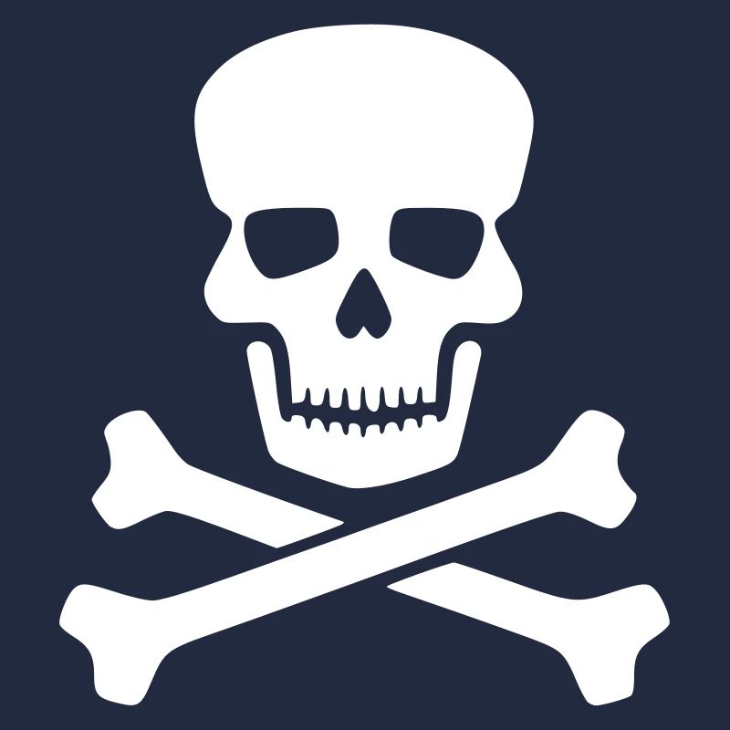 Skull white gift gift idea