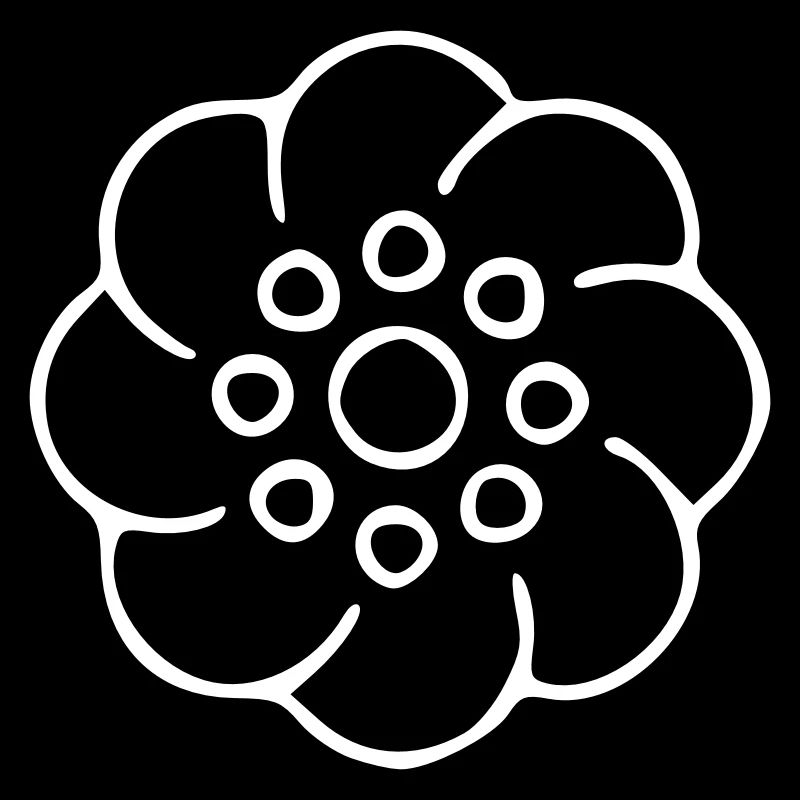 Flower Drawing Nature Sketch White