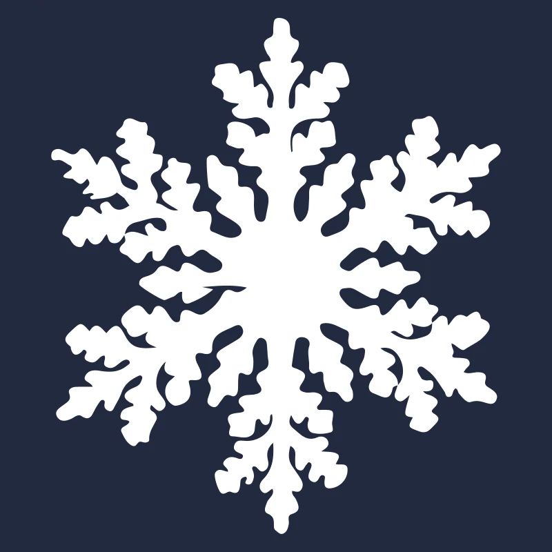 snowflake 2