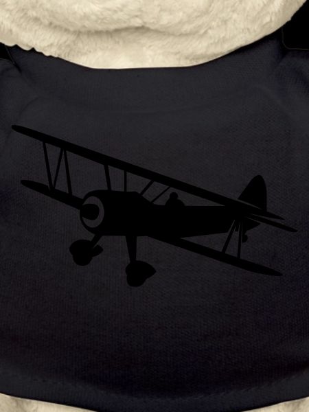 Fly a plane