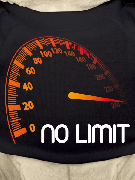 Speedometer - No Limit