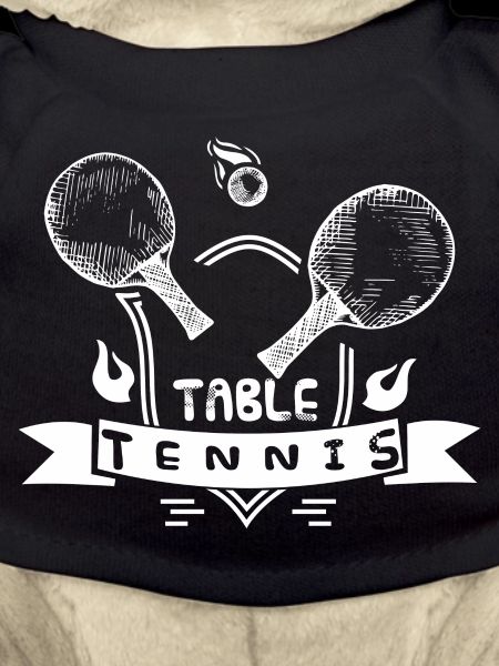 tennis de table 47 table
