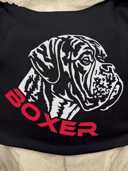 587 Boxer