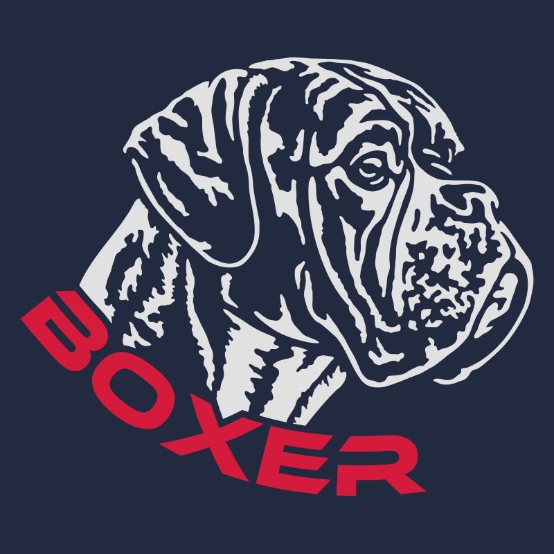 587 Boxer