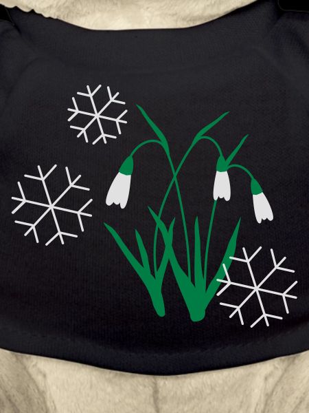 snow